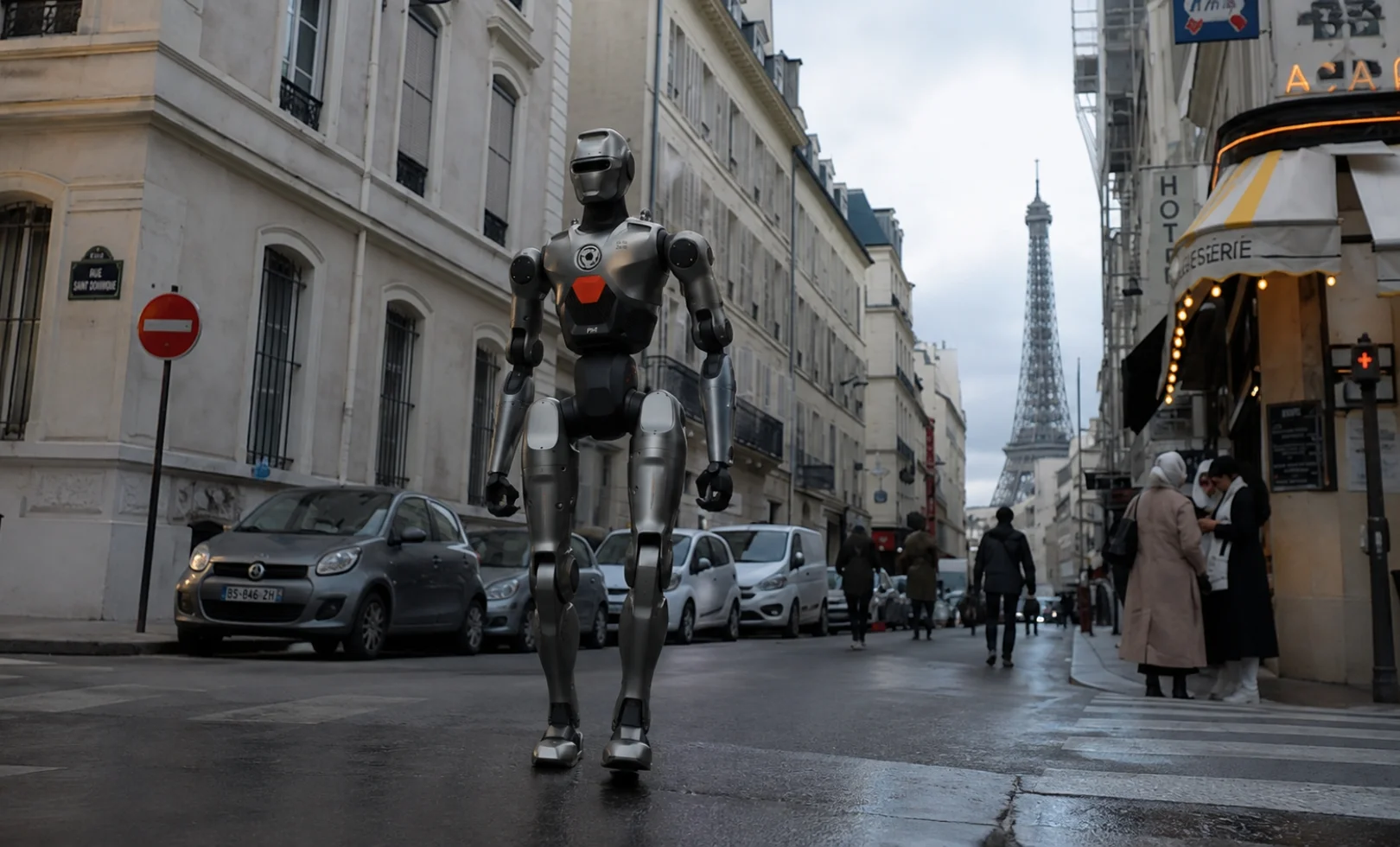Humanoid & Service Robots